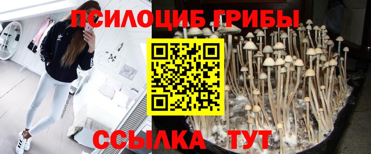 Галлюциногенные грибы Cubensis Азнакаево